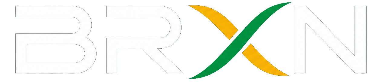 BRXN — Brazil Experience Network